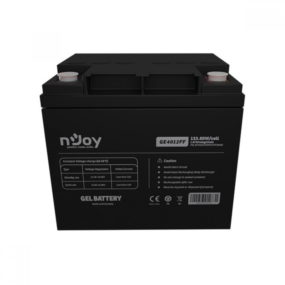 Аккумуляторная батарея Njoy GE4012FF 12V 40AH (BTVGCDTOMTCFFCN01B) GEL