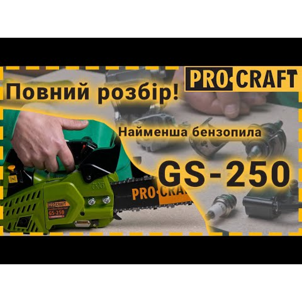 Бензопила Procraft GS-250 (Шина, ланцюг 30) (600250)